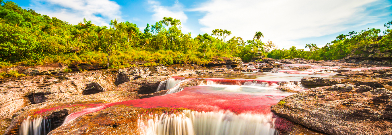 Caño Cristales