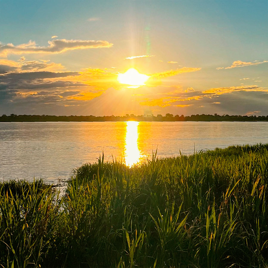 Biodiversidad en el Amazonas, fauna y flora autóctona.