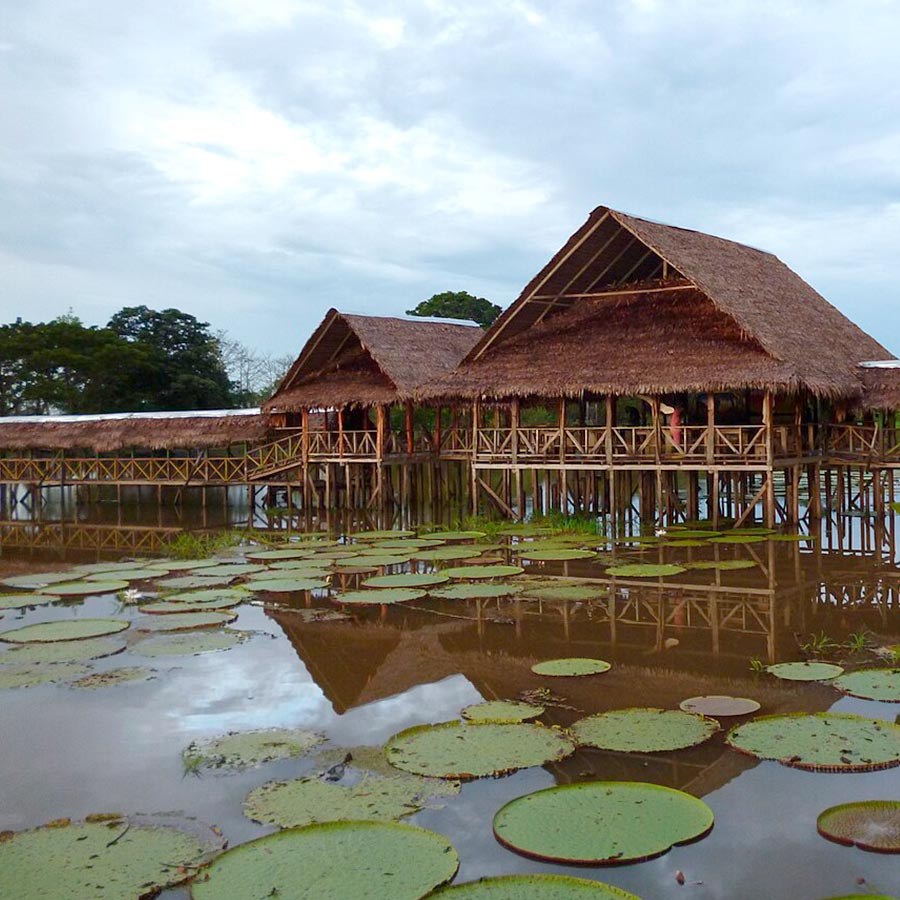 Muelle y cabañas tradicionales sobre agua en el Sitio de la Victoria Regia, cerca de Leticia en el Amazonas colombiano. Conoce el Amazonas con Viajes Comfama