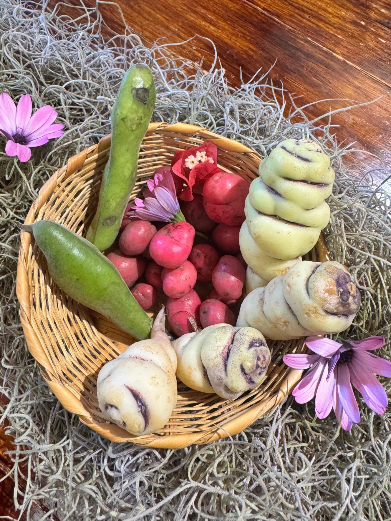 Los tubérculos se cultivan en zonas de alta montaña como Boyacá, presentes en el cocido boyacense y en guisos