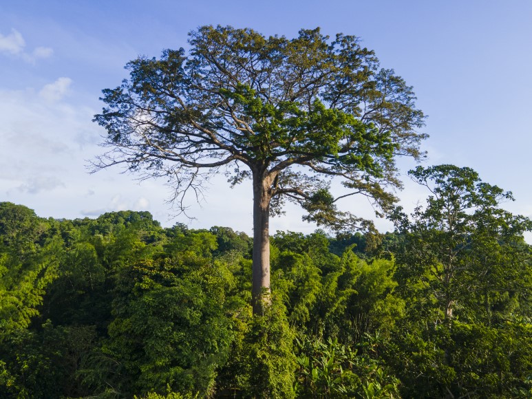 Río La Miel en el Departamento de Caldas, Colombia