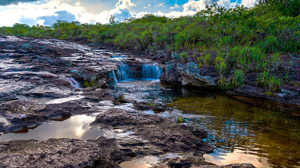 Caño Cristales en Meta, Colombia: 'el río de los siete colores'. Paquetes turísticos en www.viajescomfama.com
