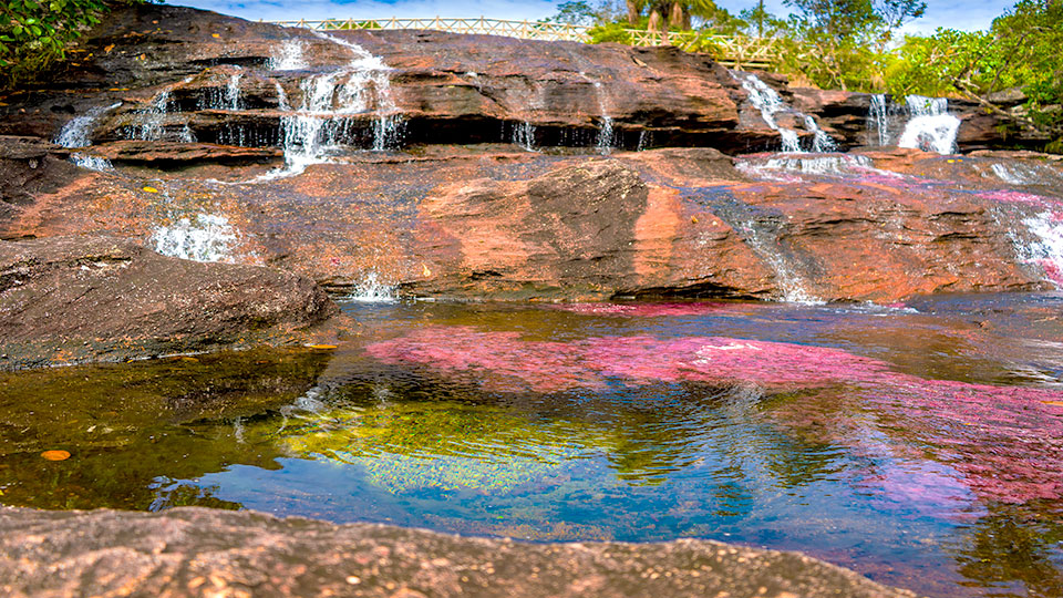 Caño Cristales en Meta, Colombia: 'el río de los siete colores',. Paquetes turísticos en www.viajescomfama.com
