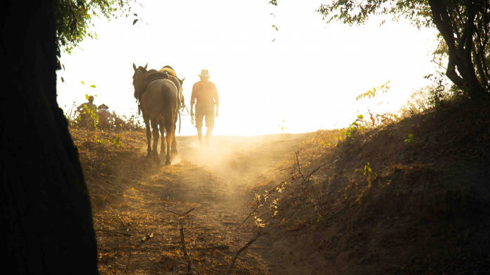 Casanare - Llanos Orientales