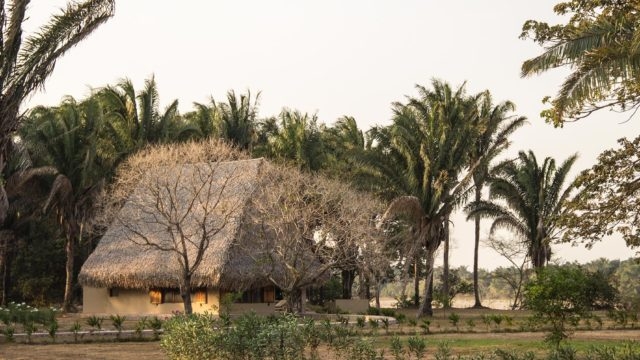 Casanare - Llanos Orientales