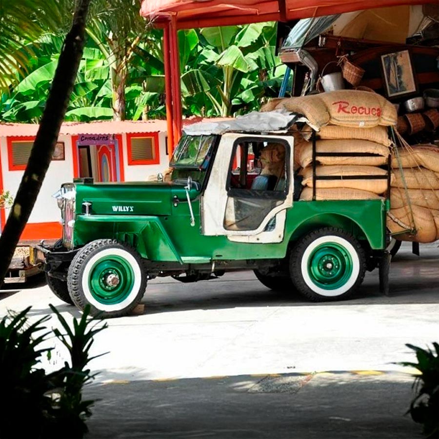 Jeep Willy en Salento.