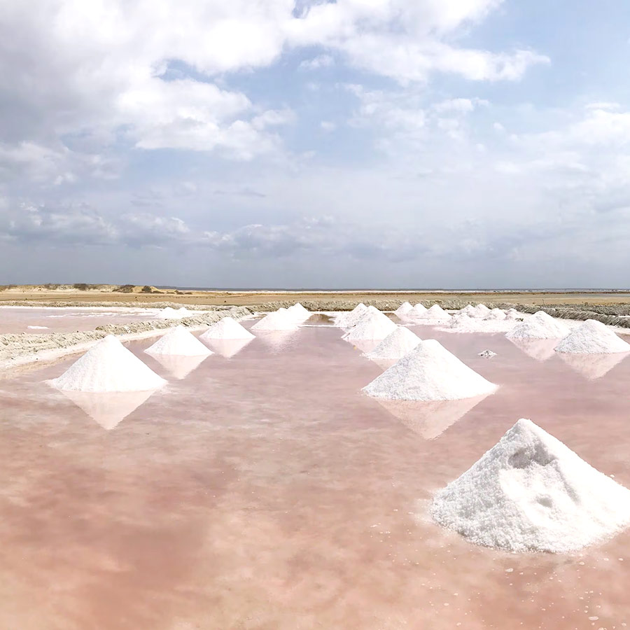 Salinas de Manaure en La Guajira, Colombia. Tour de 5 días en Viajes Comfama