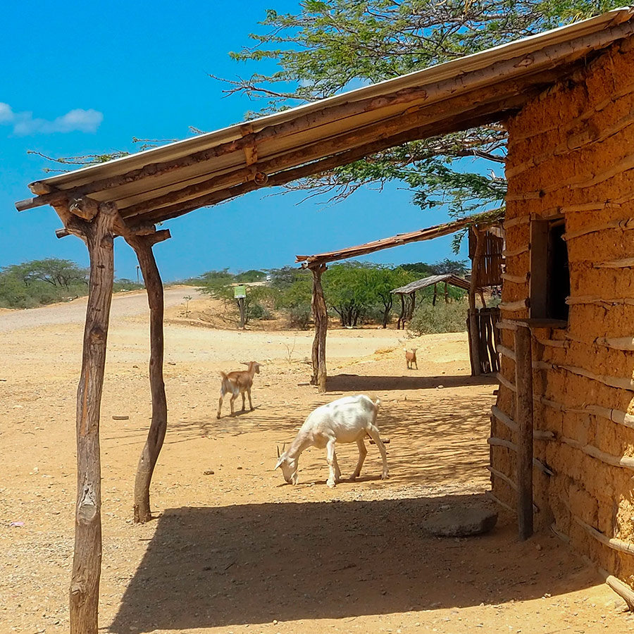 Ranchería, una vivienda tradicional del pueblo indígena Wayúu en La Guajira, Colombia. Reserva en Viajes Comfama