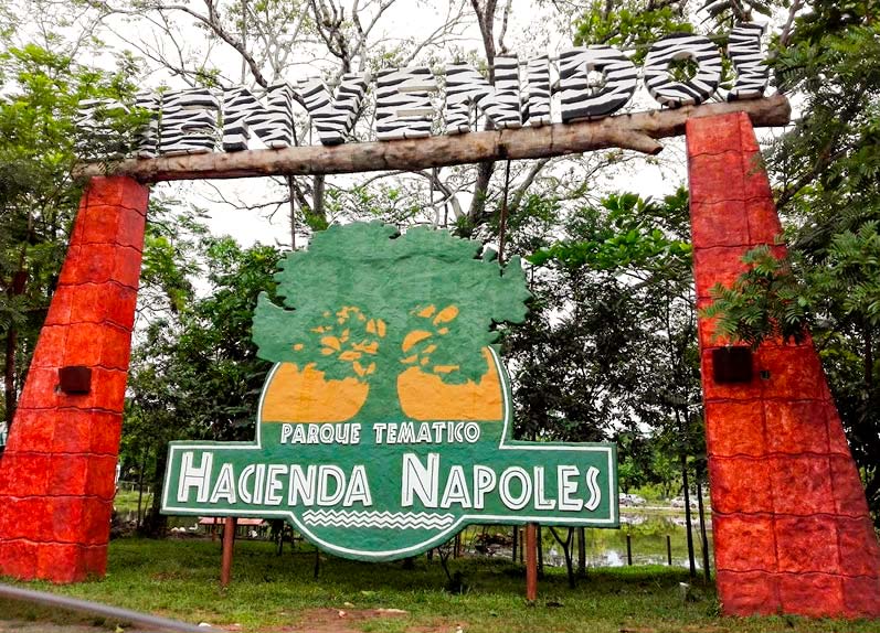 La Hacienda Napoles Un Safari En Tierras Colombianas