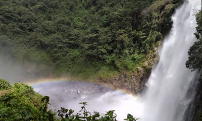 Salto del Buey