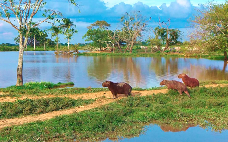 Lugar Turistico