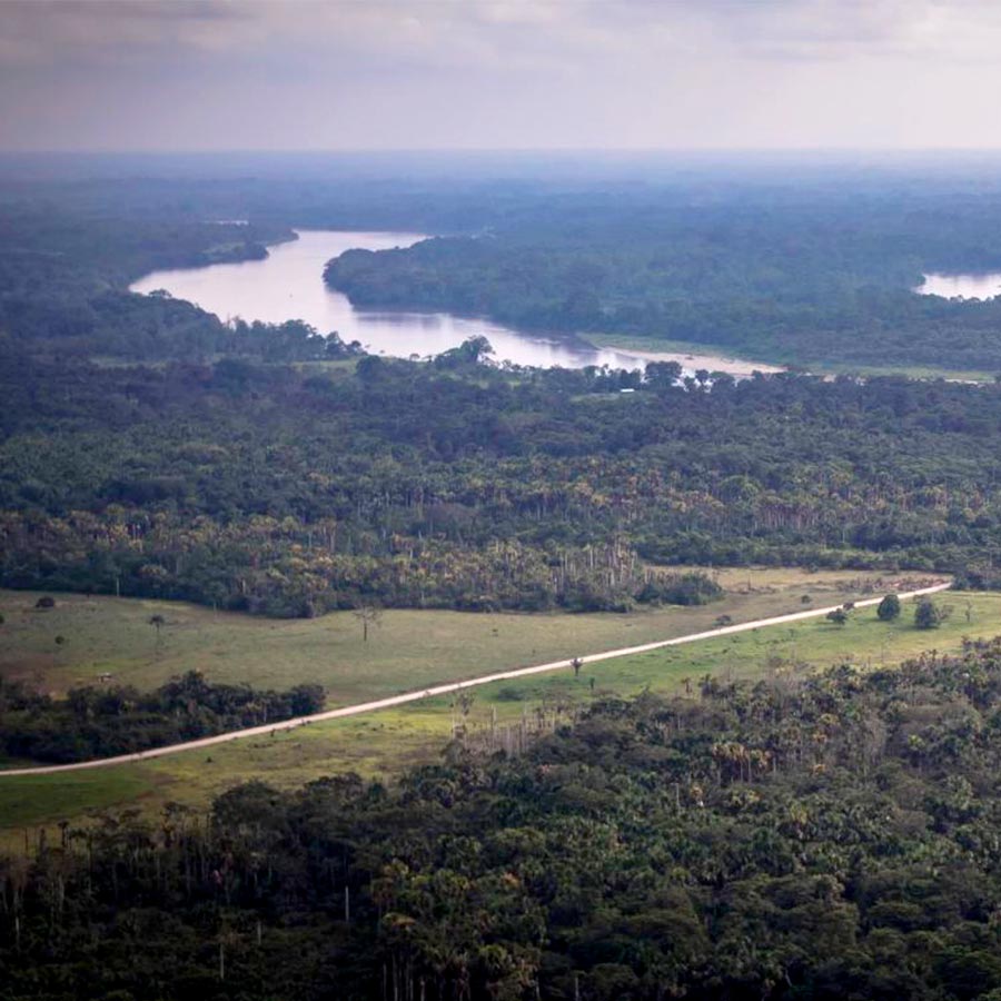 Selva virgen y biodiversidad en el suroeste de Colombia, Putumayo.