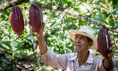 Támesis con sabor a cacao