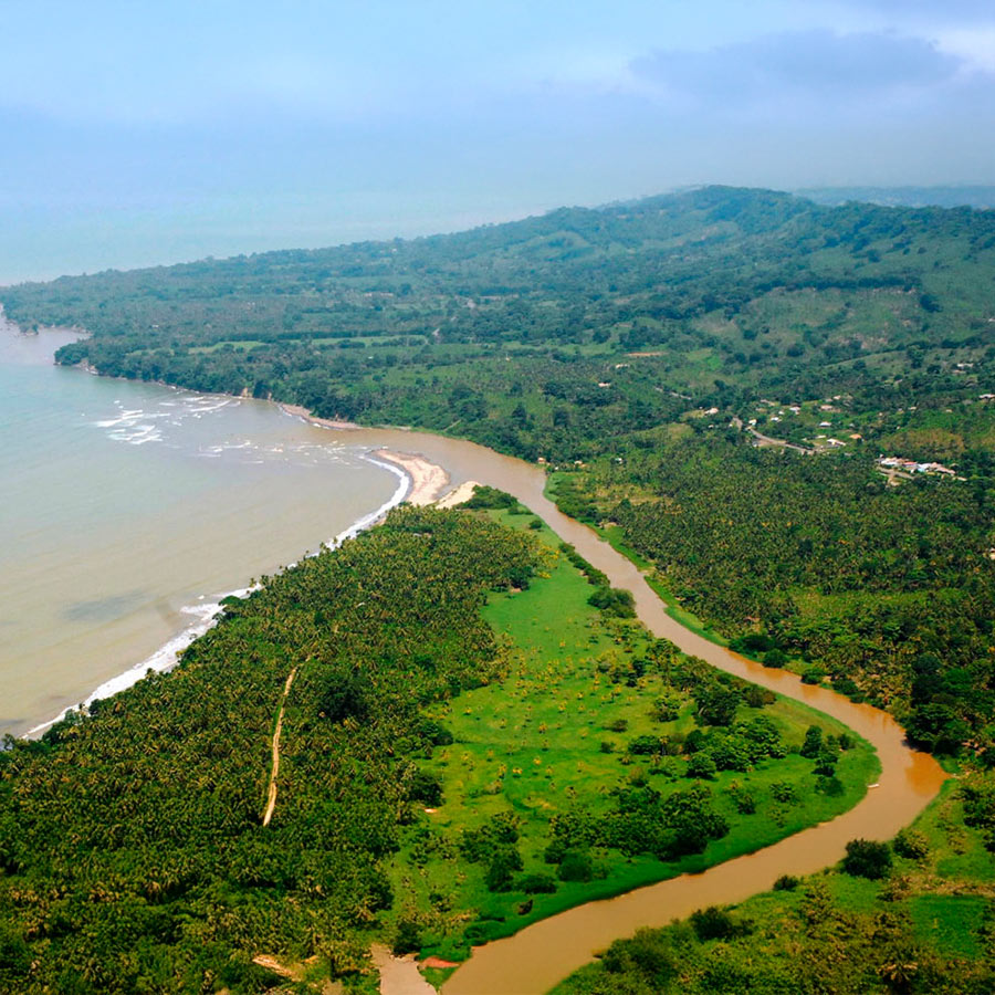 Playa de arena blanca en Necoclí, Urabá, con cocoteros frente al agua cristalina del Mar Caribe.