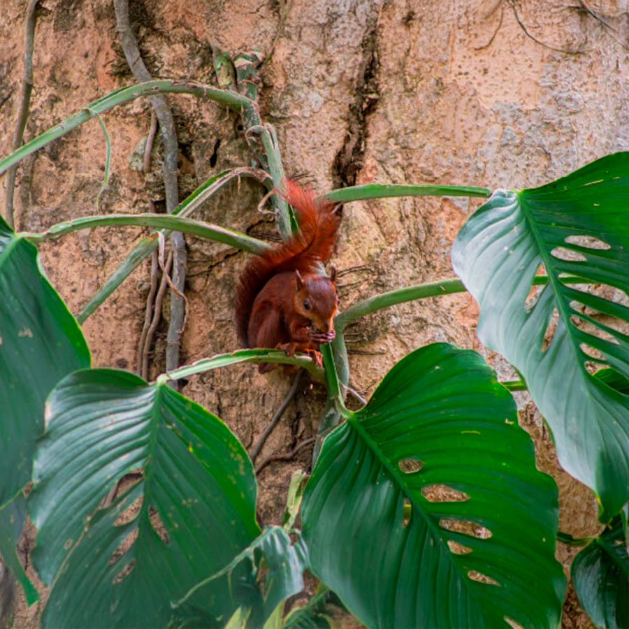 Atardecer dorado sobre el horizonte del mar en Urabá, destacando la tranquilidad del paisaje costero.